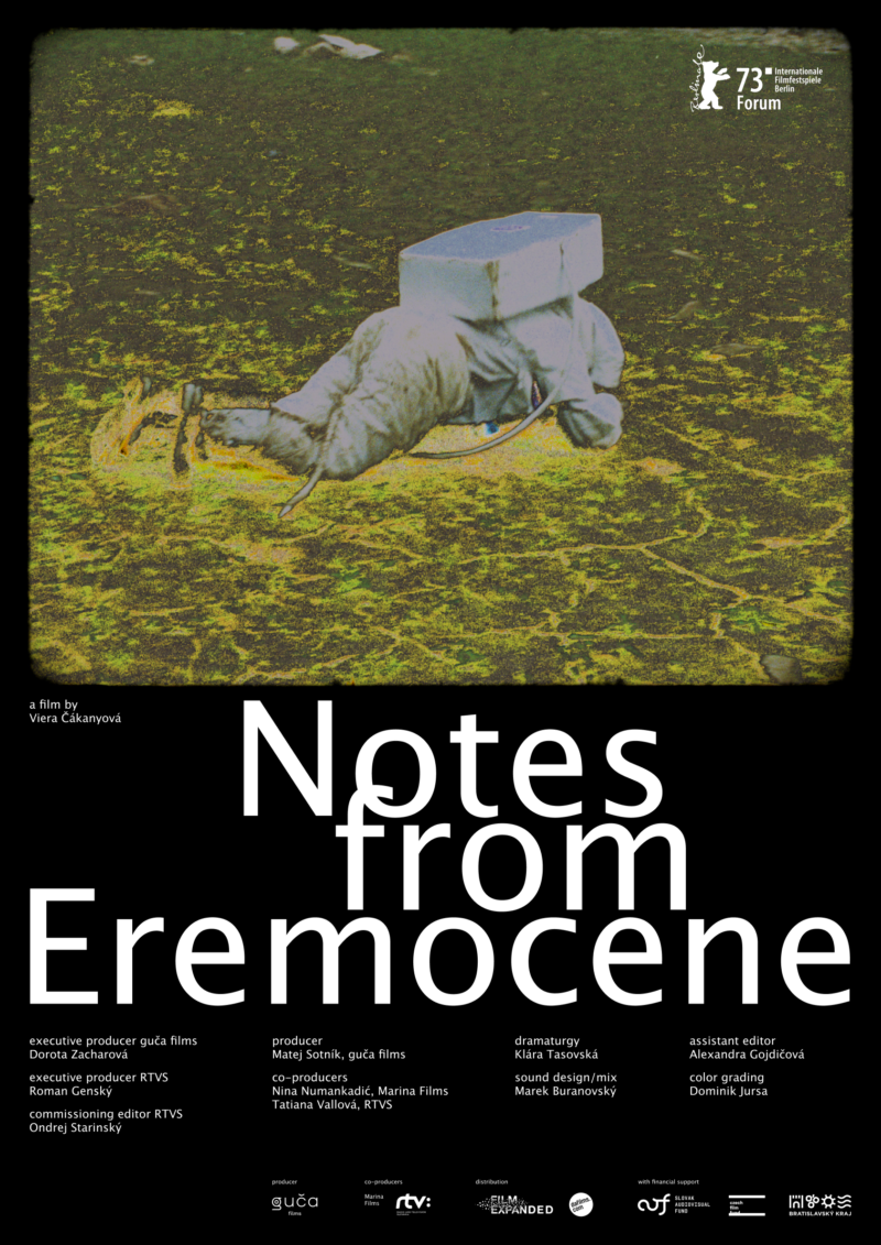 Notes from Eromocene film by Viera Čákanyová  